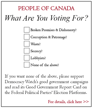 What are you voting for?
